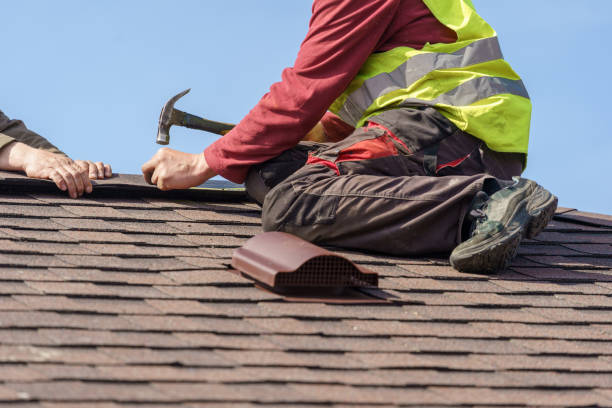 Best Metal Roofing Contractor  in New Franklin, MO