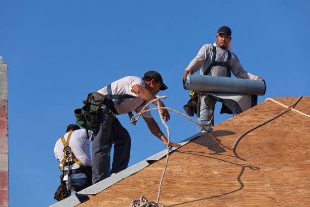 Best Roof Restoration Services  in New Franklin, MO